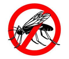 “डेंगू इज प्रिवेंटिएबल : लेट्स जॉइन हैंड्स ” की थीम पर 16 मई को जिला भर में मनाया जाएगा राष्ट्रीय डेंगू दिवस